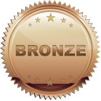 Bronze Sponsors